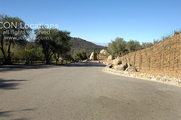 VILLA31424 092LRICON