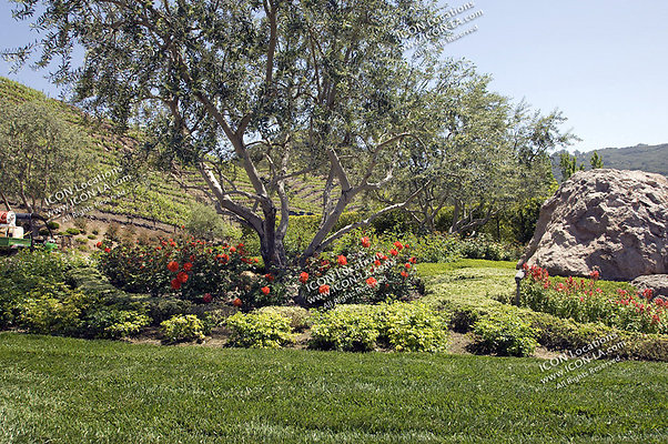 VILLA340 094 - ICON Locations | www.ICON-LA.com  Mansion with Vineyard for Filming