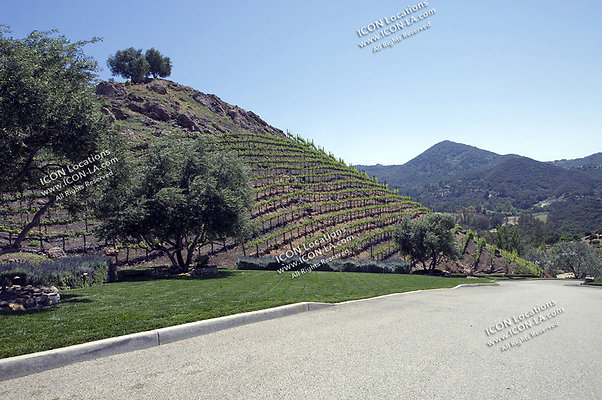 VILLA340 097 - ICON Locations | www.ICON-LA.com  Mansion with Vineyard for Filming