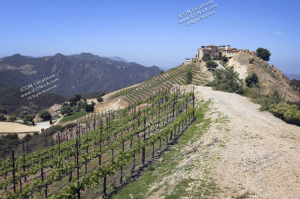VILLA340 086 - ICON Locations | www.ICON-LA.com  Mansion with Vineyard for Filming