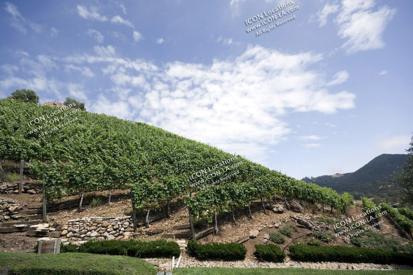 VILLA340 095 - ICON Locations | www.ICON-LA.com  Mansion with Vineyard for Filming