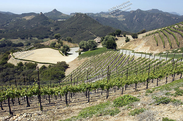 VILLA340 087 - ICON Locations | www.ICON-LA.com  Mansion with Vineyard for Filming