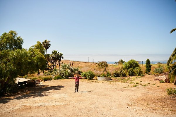 property 4259 0141