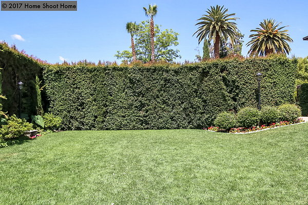 125south-lawn-reverse