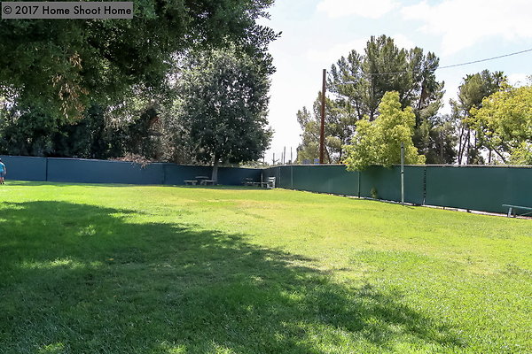 133meadow-reverse