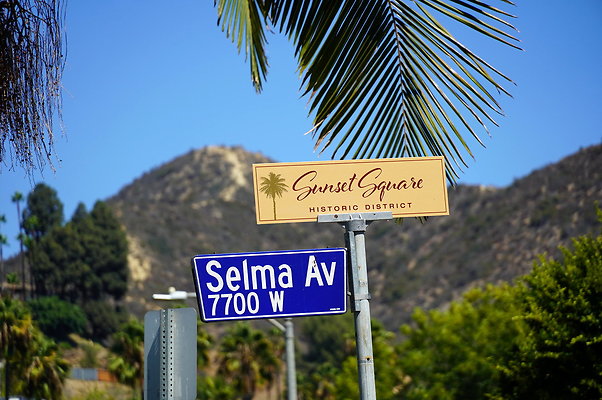 Driving.Streets.Residential.Hollywood.LaBrea