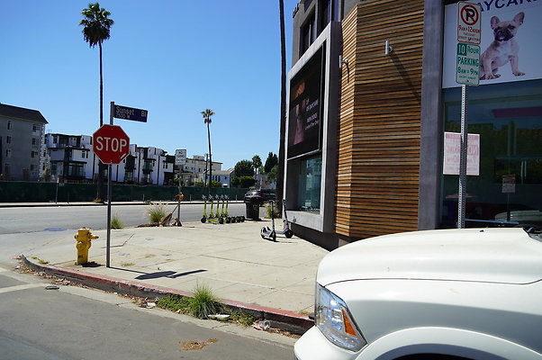 No.Sierra.Bonita.Ave.31