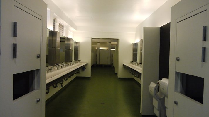 Mens bathroom gate 2