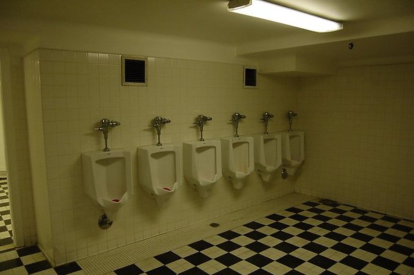 DSC 0101 1