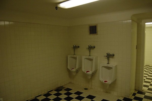 DSC 0100 1
