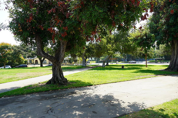 LA.High.Park.25