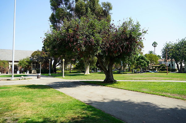 LA.High.Park.22