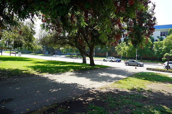 LA.High.Park.24