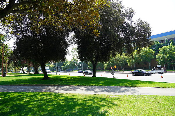 LA.High.Park.06