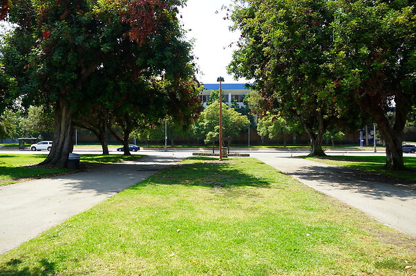 LA.High.Park.26