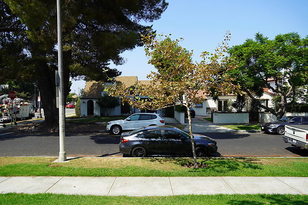 LA.High.Park.08