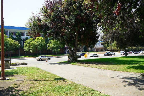 LA.High.Park.19
