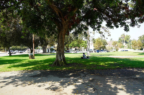 LA.High.Park.20