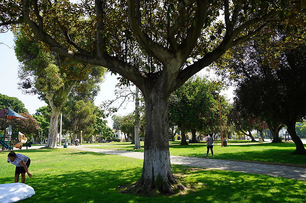 LA.High.Park.05