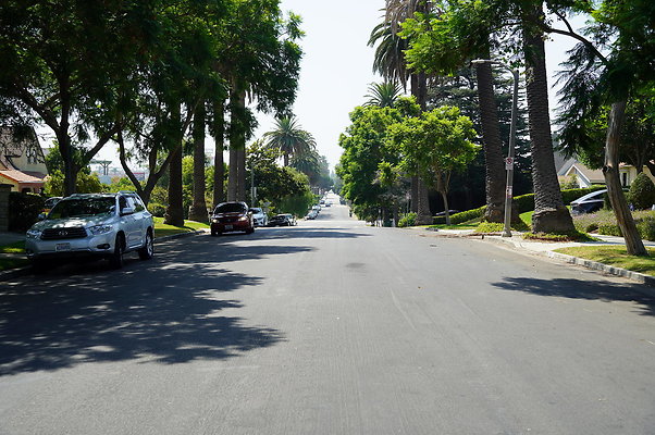 VIctoria Ave.North. 16