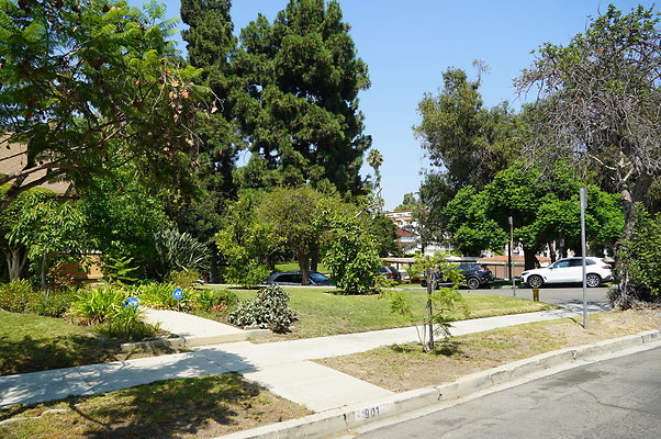 Plymouth.Ave.North. 33