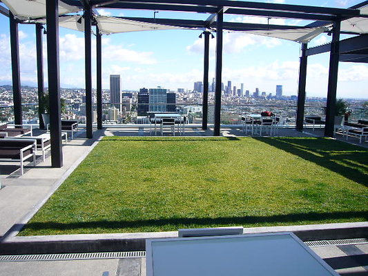 Mercury.Rooftop.Pool.Ktown.20