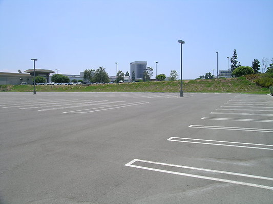 DSCN7607