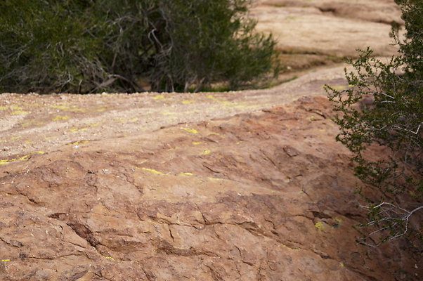 Vazquez.Rocks.130