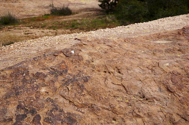 Vazquez.Rocks.127