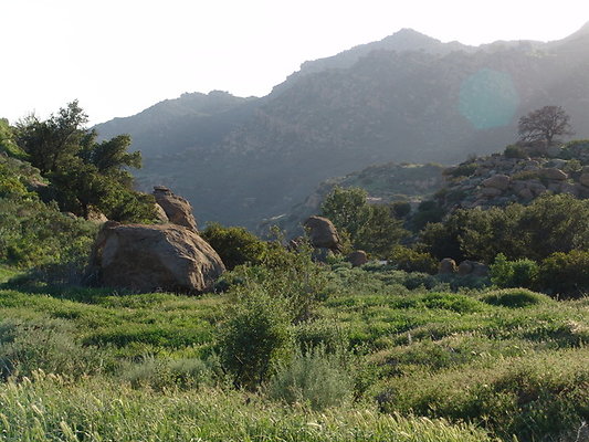 Rocky.Peak.Trail.084