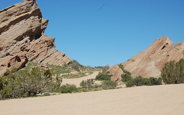 DSC 0072c