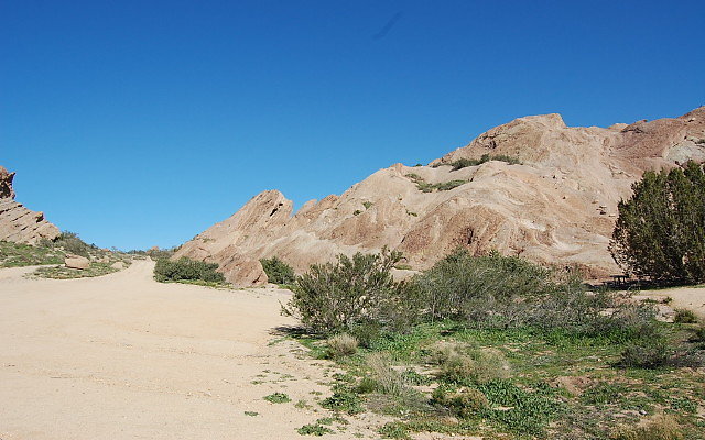 DSC 0060