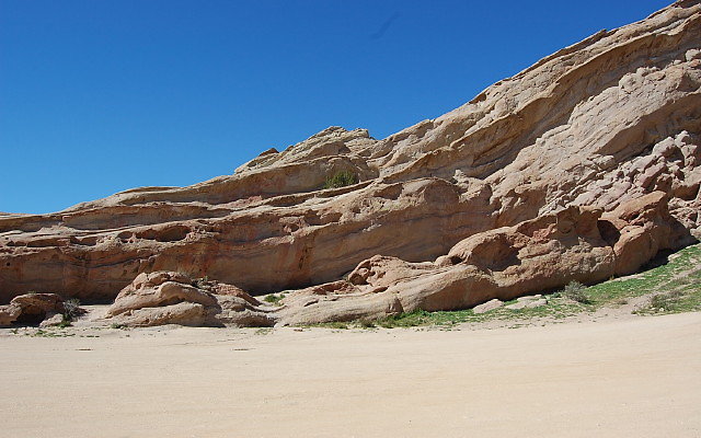 DSC 0098