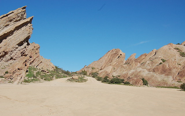 DSC 0050