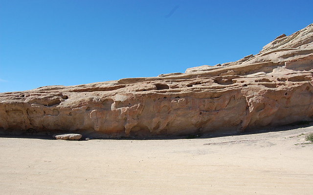 DSC 0071