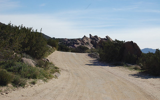 DSC 0008