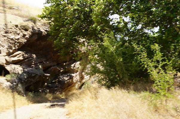 ARM.Rocks,SOS66