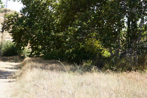 ARM.Rocks,SOS109