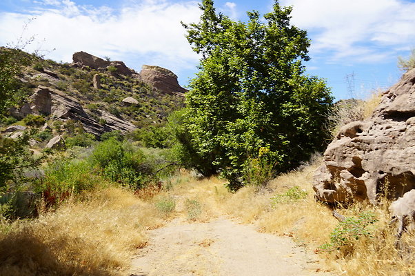 ARM.Rocks,SOS81