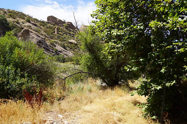 ARM.Rocks,SOS83