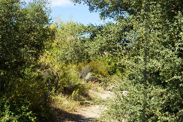 ARM.Rocks,SOS123