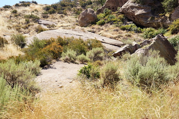 ARM.Rocks,SOS101