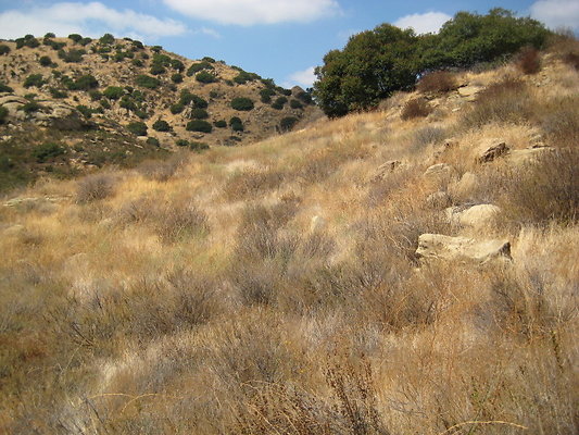 Rocky.Peak.Church.Area.081