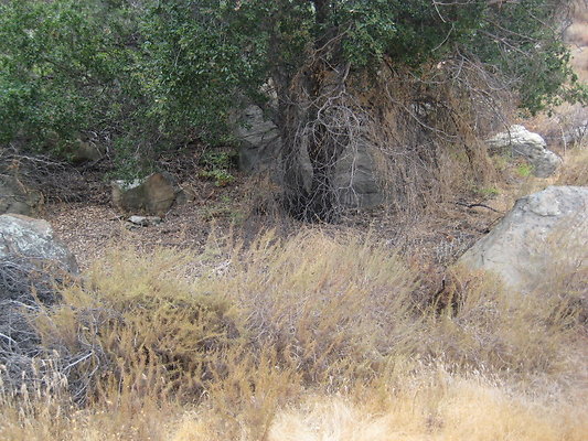 Rocky.Peak.Church.Area.074