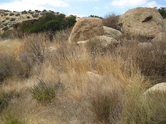 Rocky.Peak.Church.Area.077