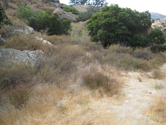 Rocky.Peak.Church.Area.075