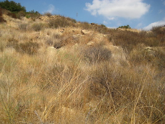 Rocky.Peak.Church.Area.082