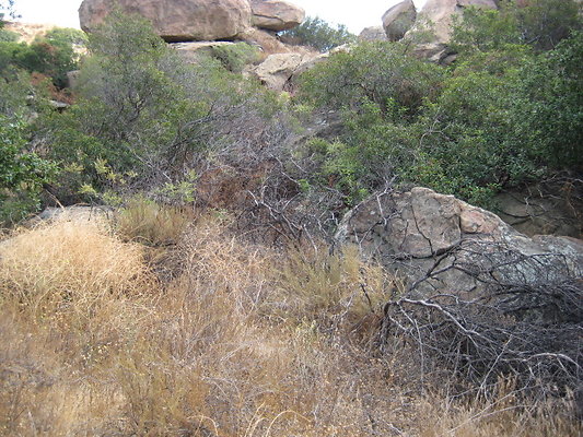 Rocky.Peak.Church.Area.073