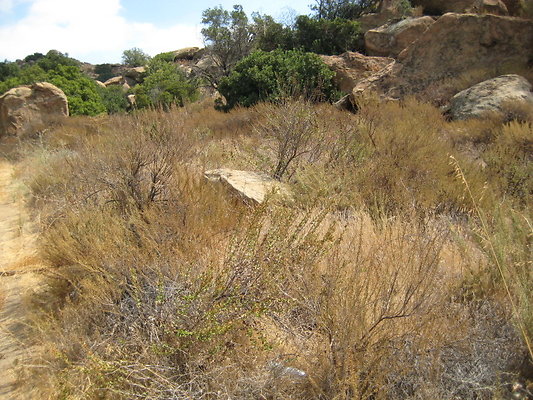 Rocky.Peak.Church.Area.084