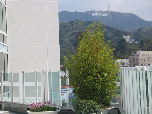 IMG 5306
